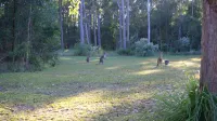 Nrma Darlington Beach Holiday Resort