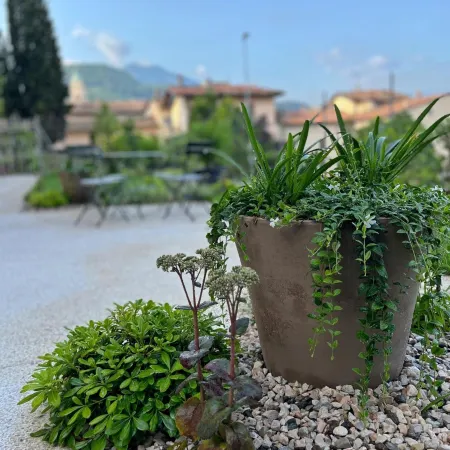 B&B Ai Colli