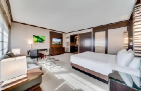 Jet Luxury at the Vdara