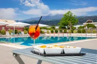 Dipladenia Garden Country Resort - Pools