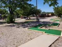 Kingman Koa