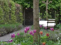 Boetiekhotel Hemelhuys Hotels in Hasselt