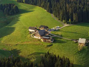 Hotel ThälerHäusle Mit Schwimmbad