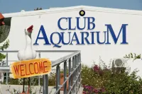 Oscar Seaside & Spa Hotel by Club Aquarium