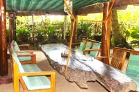 Driftwood Village Resort - Beach
