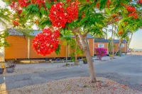 Aqua Lodges at 47th Street - 3-Star