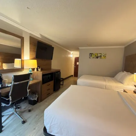 Wyndham Garden Summerville