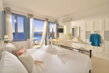 Absolute Bliss