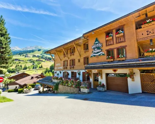 Hotel les Sapins Hotels in La Clusaz