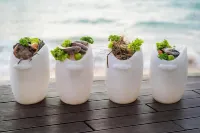 Hikkaduwa Beach Hotel - breakfast