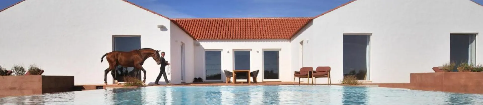 Luxury Hotels