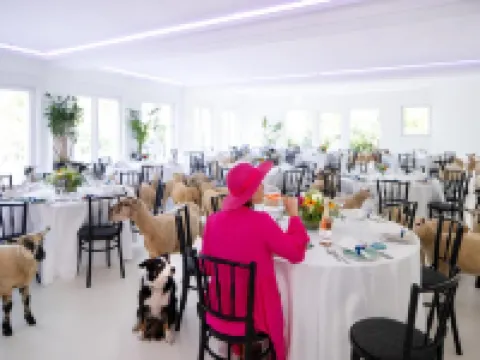 Stuckhotel Fettehenne Hotels in Ratingen