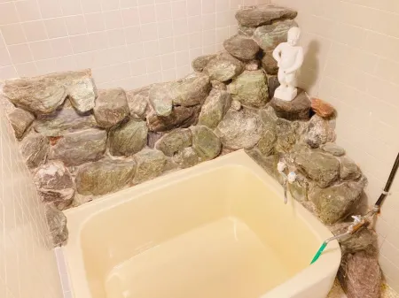 Guesthouse Kazurabashi Отели в г. Миёси