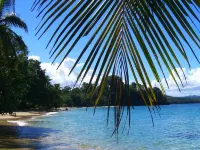 Physis Caribbean Bed & Breakfast Hotels in Cocles