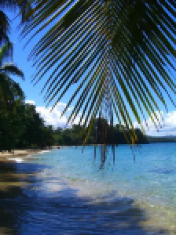 Physis Caribbean Bed & Breakfast