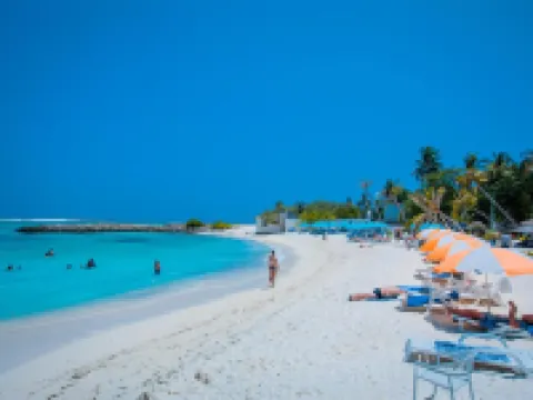 Alaika Maafushi Hotels in Maafushi