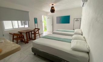 Casa Colibrí El Cuyo