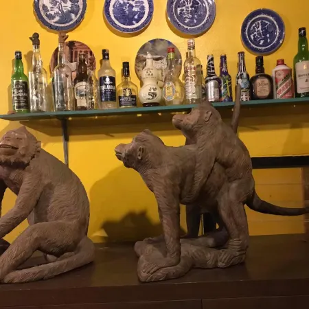 The Monkey Resort Donheang