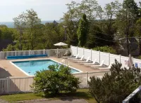 Sea Lion Motel - Pool