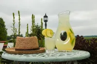 Scottish Bed & Breakfast Hotels in Center Township
