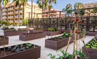 Be Live Adults Only Tenerife