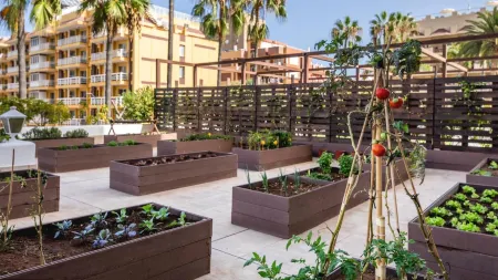 Be Live Adults Only Tenerife