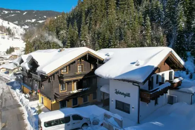 Pension Lederergütl - Jokercard & Parkplatz Inkl Hôtels à : Saalbach