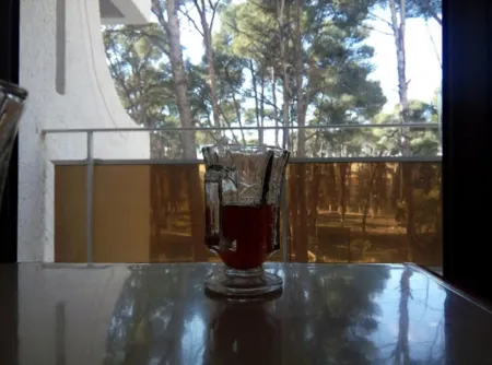 Hotel Chelia Отели в г. Батна