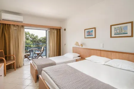 Danae Hotel Отели в г. Vathi