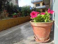 Pushpa Guest House