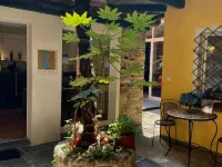เรซิเดนซา มอตตา โรงแรมใกล้Casa Rusca