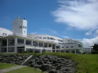 Hotel Mt. Fuji