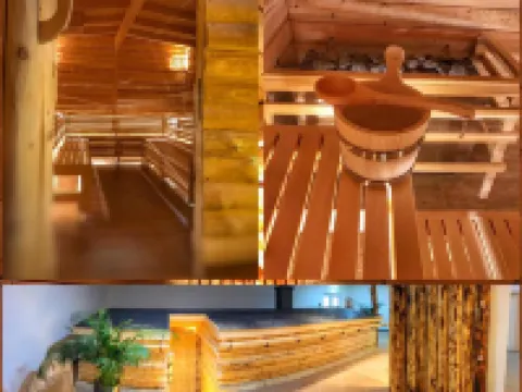 Alpina Lodge Hotel Oberwiesenthal Hotels in Oberwiesenthal