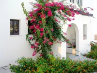 Aura Holiday Villas