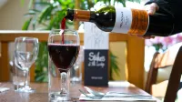 Winchelsea Lodge Hotels in Udimore