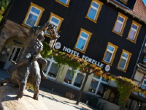 Ferienhotel Forelle Thale Ortsteil Treseburg Hotels in Thale