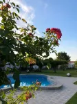 Galeria in the Garden - Pools
