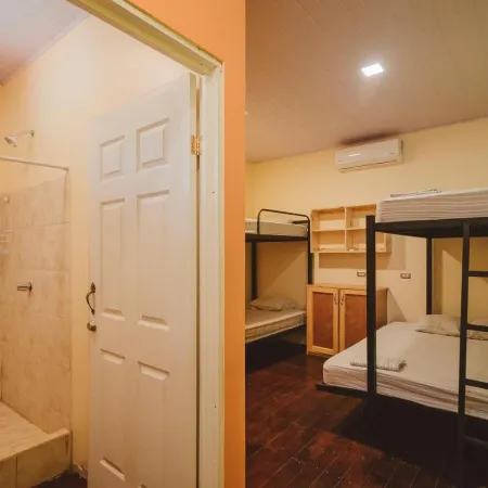 Habitat Surf Glamp