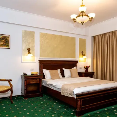 Hotel Victoria Hotels in Pitesti