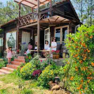 Romantic House on a Pine Hill Dalat Hotel Exterior