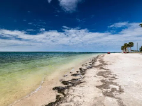 グラント ストリート イン, アン アセンド コレクション ホテル ダニーディンのホテル