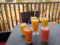 Noaz Hotel - bar