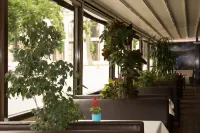 Vego Hotel - breakfast
