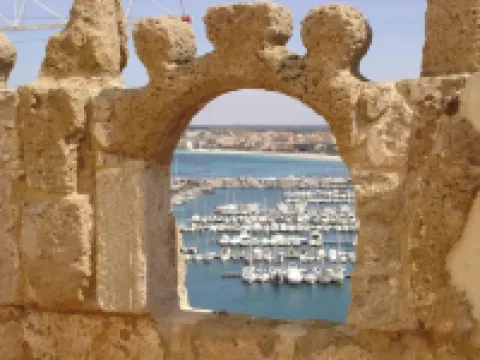 Butterfly Accommodation