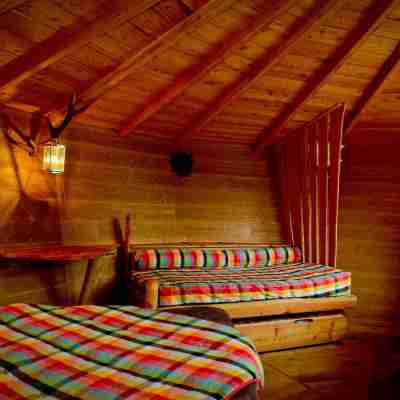 Logis Hôtel Andreinia Rooms