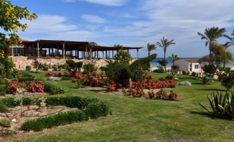 Wadi Lahmy Azur Resort - Soft All-Inclusive