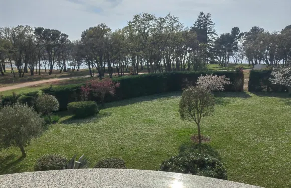 布魯諾公寓旅館