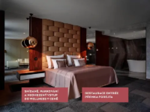 Theatre Hotel Hotels in Olomouc