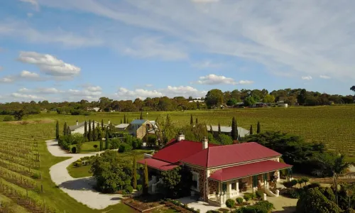 Barossa Shiraz Estate
