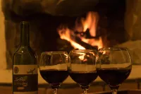 Neblina Bird - bar